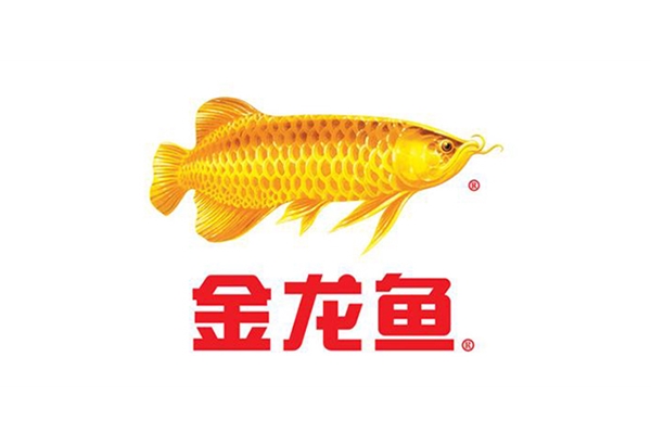 永坤減速機(jī)廠家客戶見(jiàn)證之金龍魚(yú)食用油全自動(dòng)生產(chǎn)線