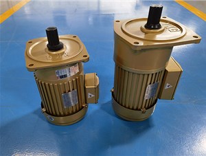 齒輪減速機可以自鎖嗎