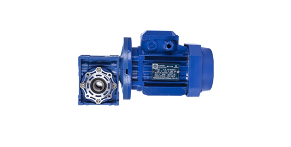 NMRV reducer with three-phase asynchronous motor (vertical installation)