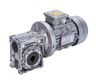 RV Reducer with asynchronous motor